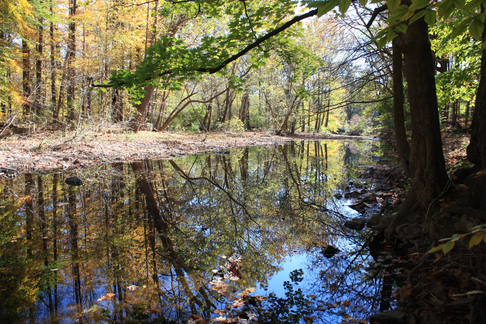 An image depicting the trail Crossways Trail and its surrounding area.