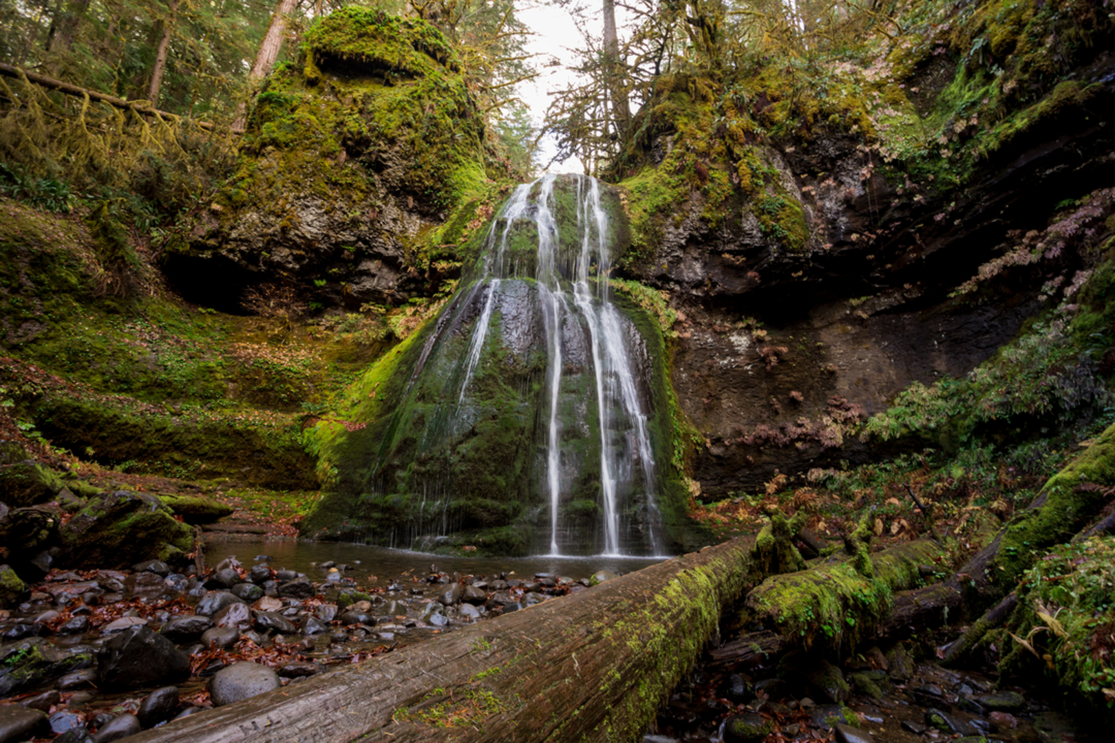 An image depicting the trail Spirit Falls Trail and its surrounding area.