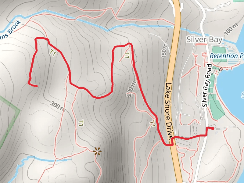 Woodside Trail from Silver Bay Road