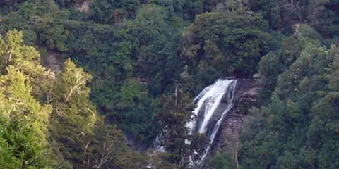 Mokau Stream Track