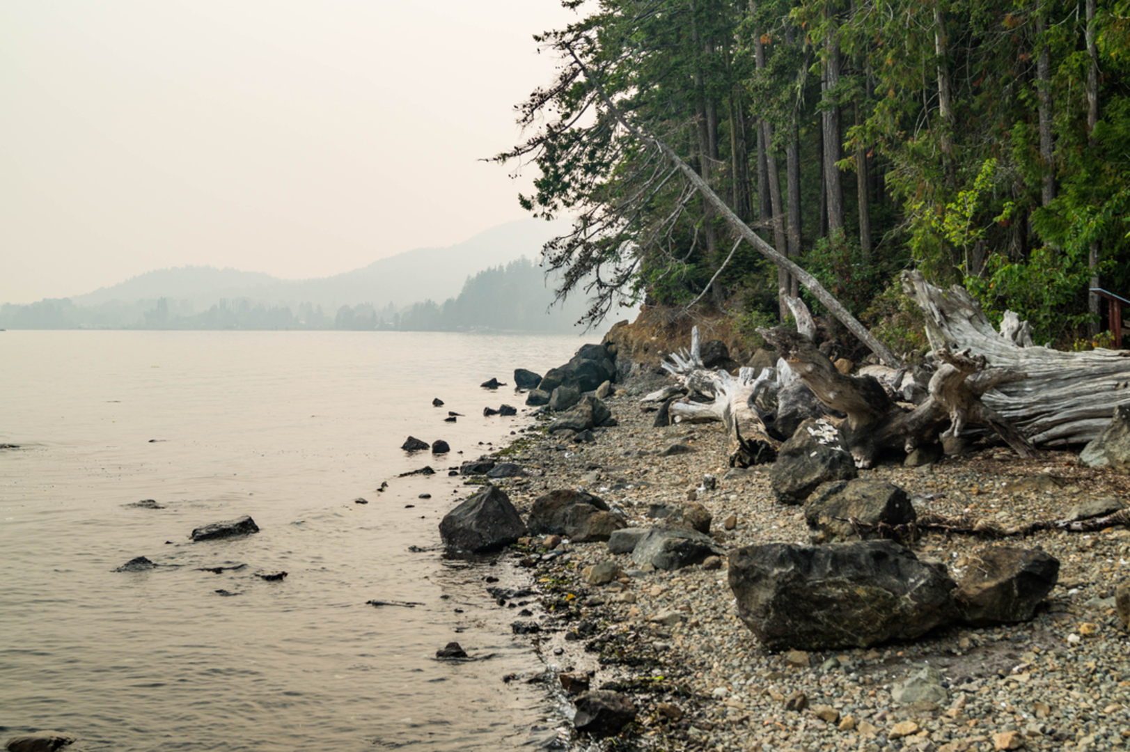 An image depicting the trail Seal Rock Marine Interpretive Trail and its surrounding area.