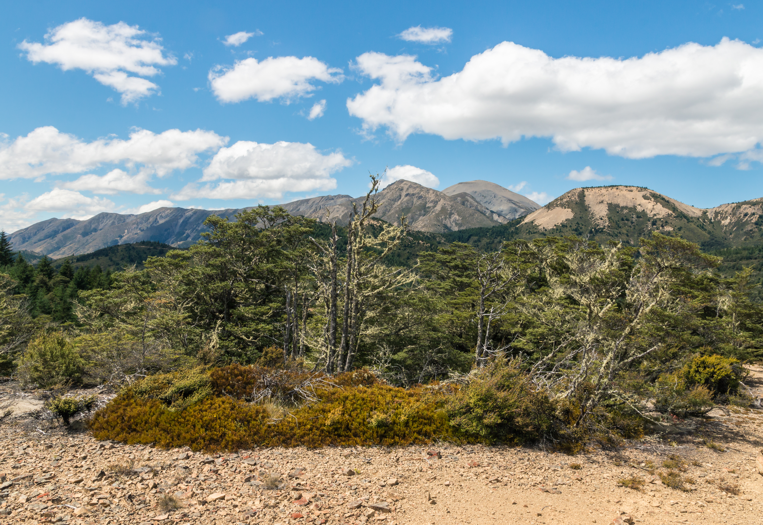 An image depicting the trail Jollies Pass Road to Mt Isobel Track and its surrounding area.