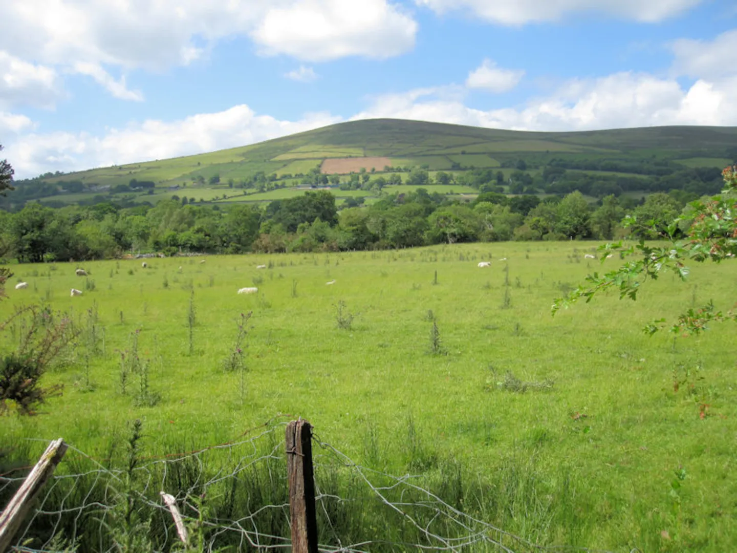 An image depicting the trail Slievebawn and Tomduff Loop and its surrounding area.