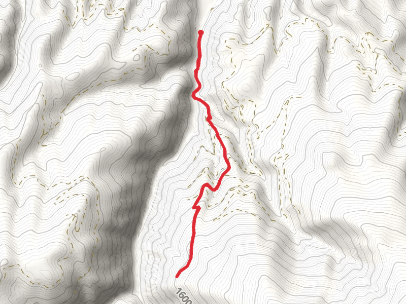 South Fork Lolo Creek Trail