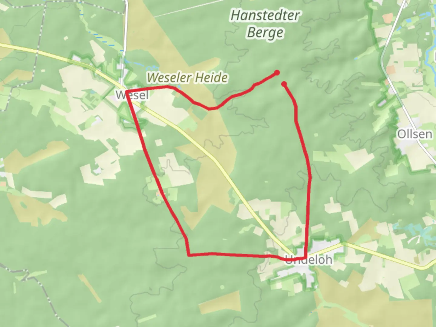 An image depicting the trail Undeloh Circle and its surrounding area.