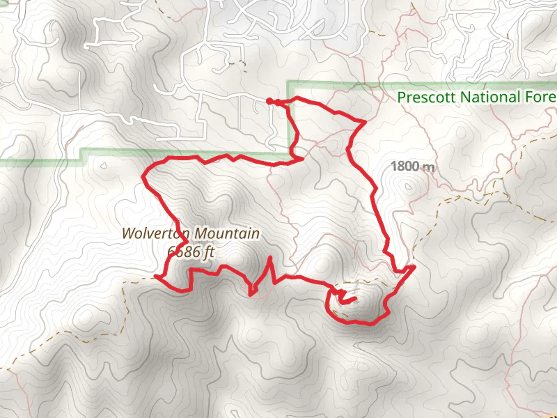 Wolverton Mountain and Whitespar Loop