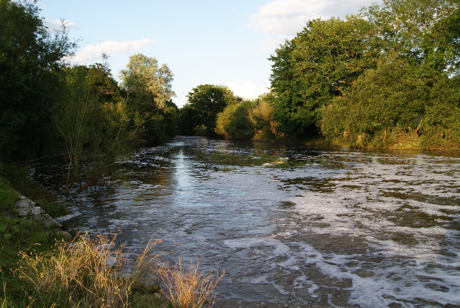An image depicting the trail North Dorset Trailway and its surrounding area.