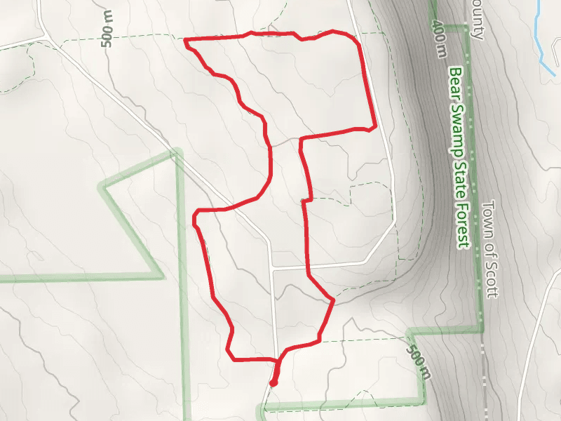 Bear Swamp Road Loop