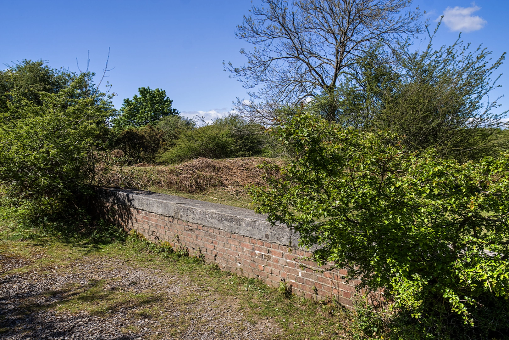 An image depicting the trail Yelverton Garden House and its surrounding area.
