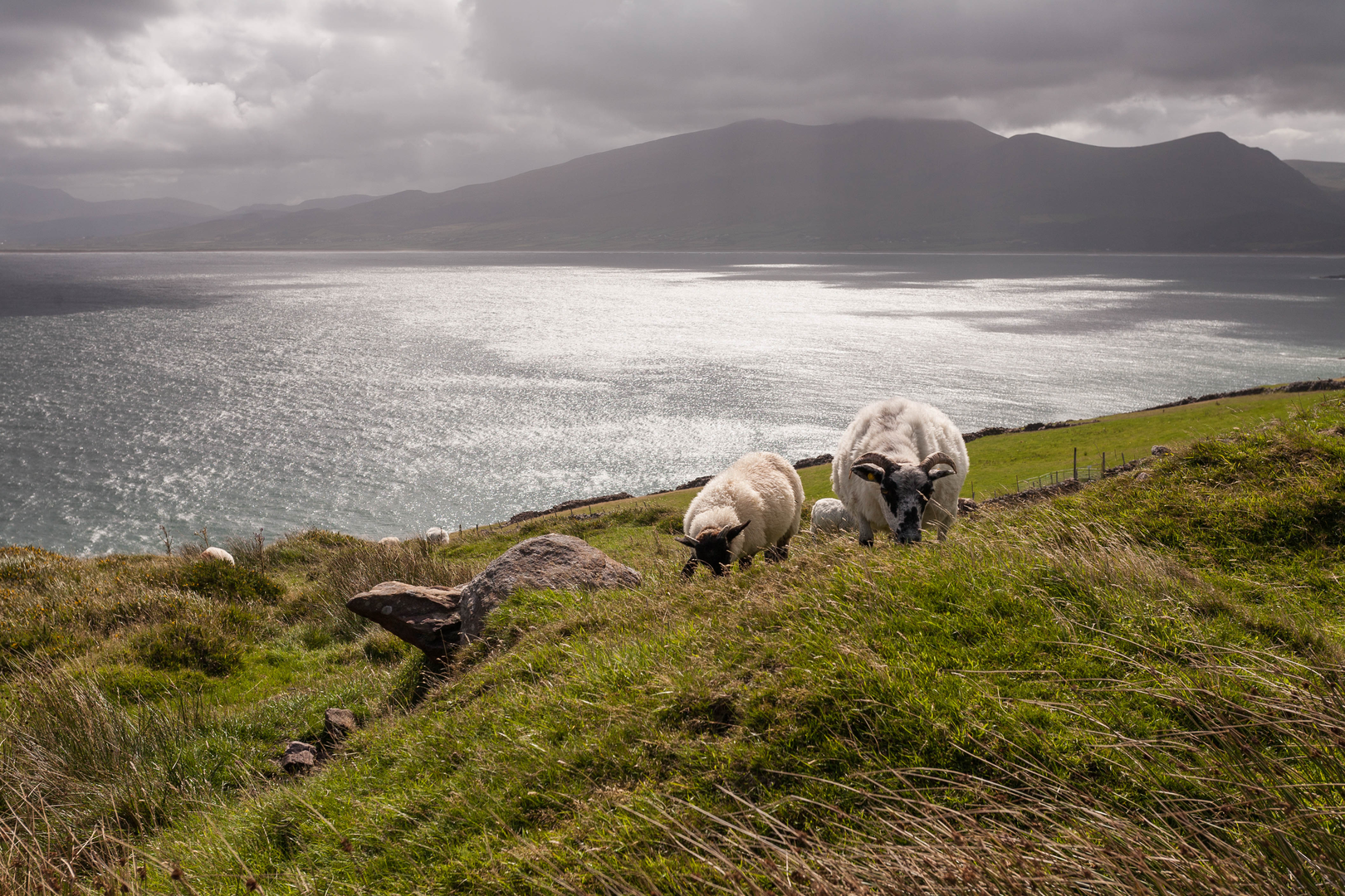 An image depicting the trail Dingle - Siuloid a tSais and its surrounding area.