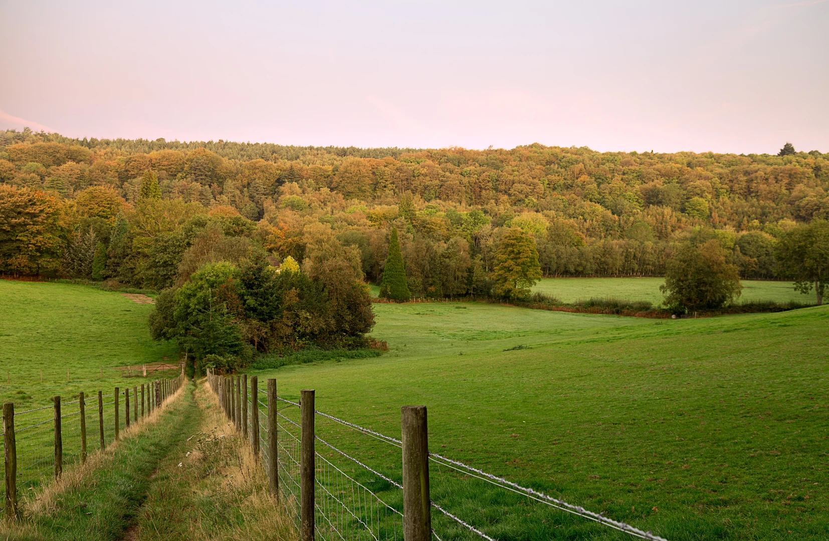 An image depicting the trail Hurt Wood Loop via Somerset Hill and Holmbury Hill and its surrounding area.