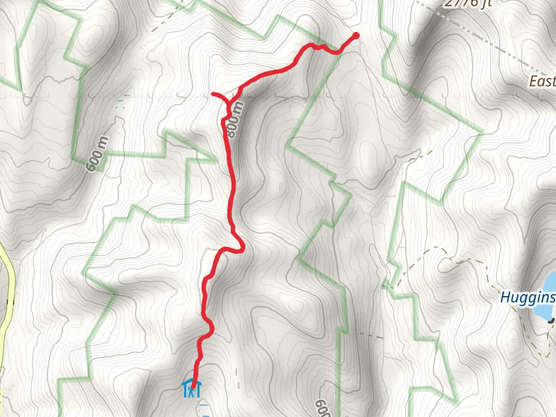 Pelnor Hollow Trail from Holliday Brook Road