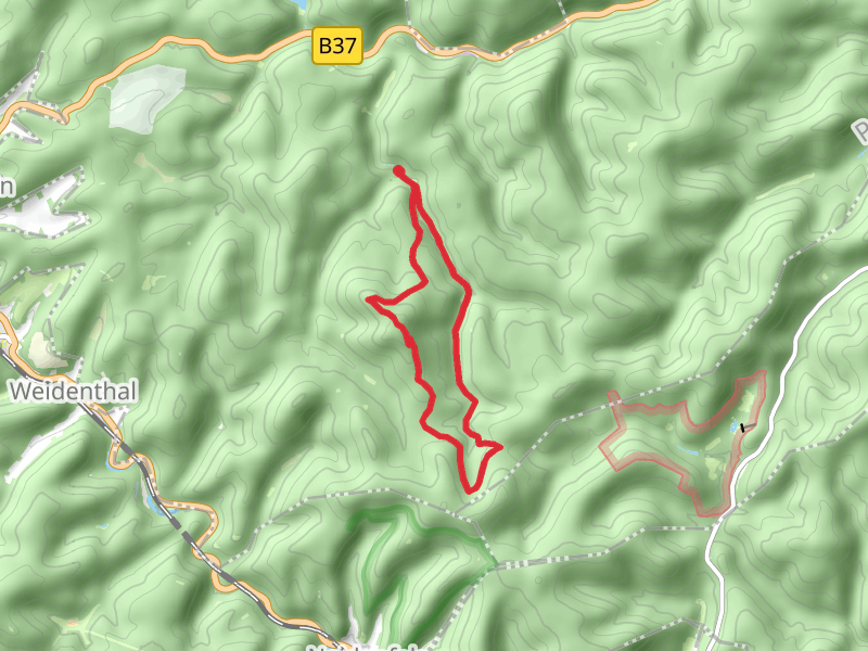 Drachenfels Loop via Pfaulzerwald Blauer Balken