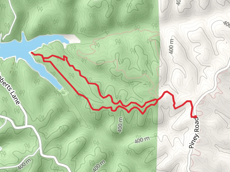 Bashore Ridge Loop