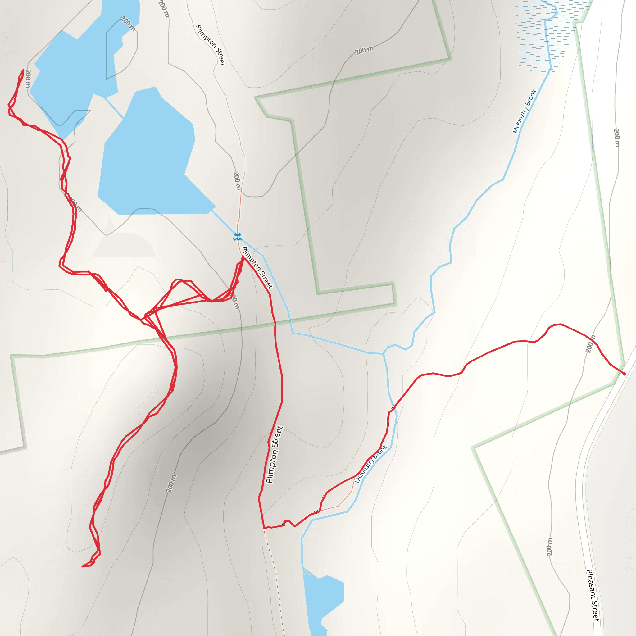 Pleasant Street via McKinstry Brook Trail mobile static map