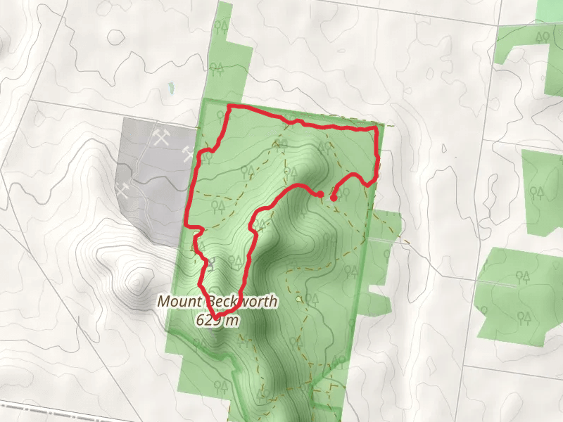 Mount Beckworth Trail - Northern Section