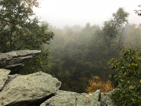 Appalachian Trail Section Hike - Port Clinton To Duncannon