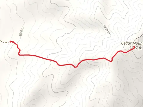 Cedar Mountain Out and Back