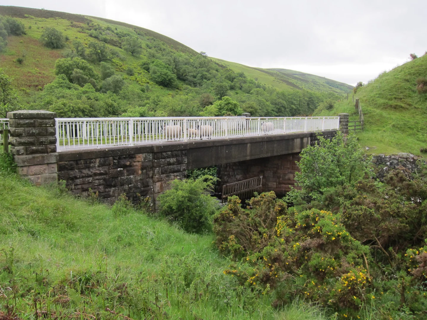 An image depicting the trail Coldgate Water and Thorneybank Plantation Loop and its surrounding area.