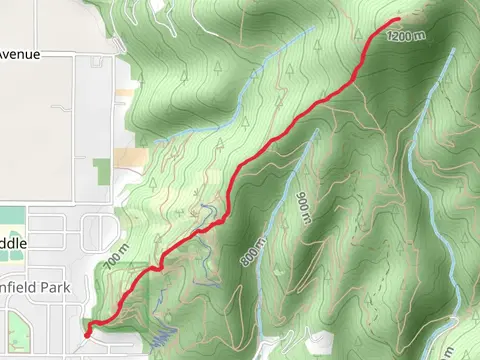 Trail 1 from East Mountain Vista Drive