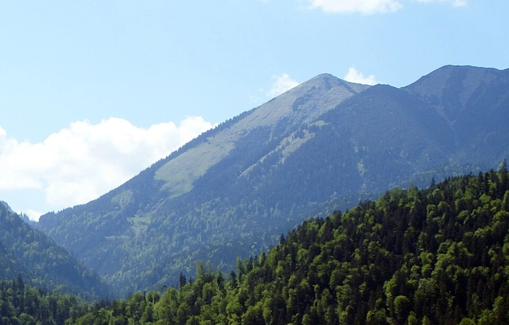 An image depicting the trail Vorderer, Mittlerer, Hinterer and Kohl Bornstein Loop and its surrounding area.