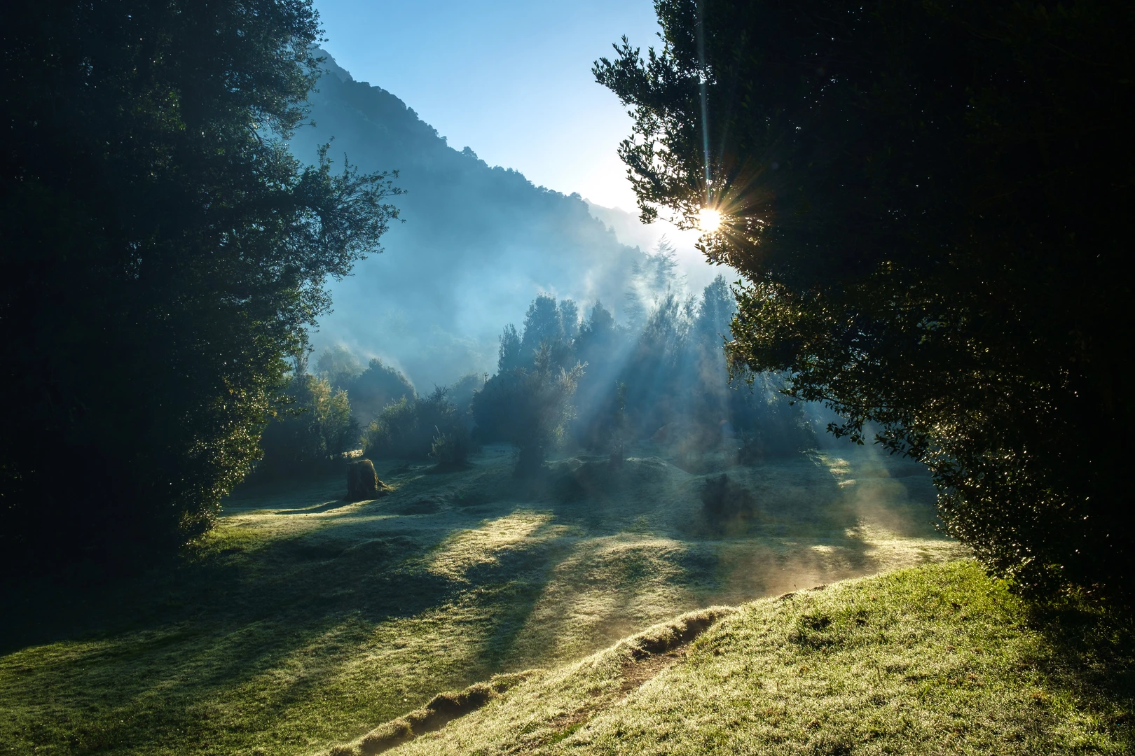 An image depicting the trail Cochamo Hike and its surrounding area.