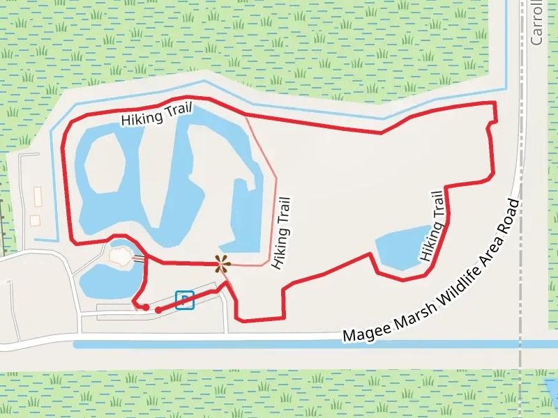 Magee Marsh Wildlife Area Road Loop