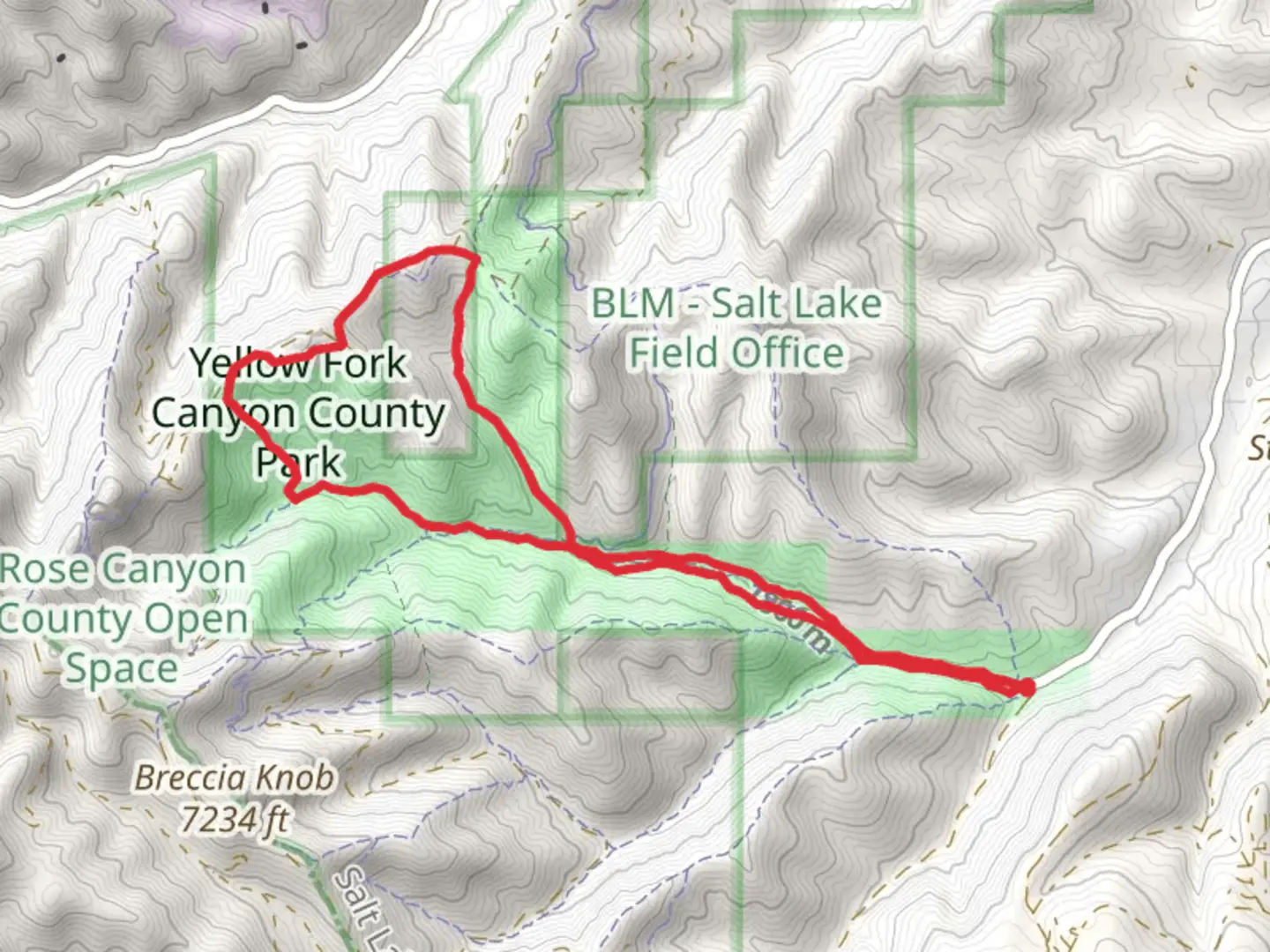An image depicting the trail Yellow Fork Trail, Blackjack Trail and Turkey Hollow Trail and its surrounding area.