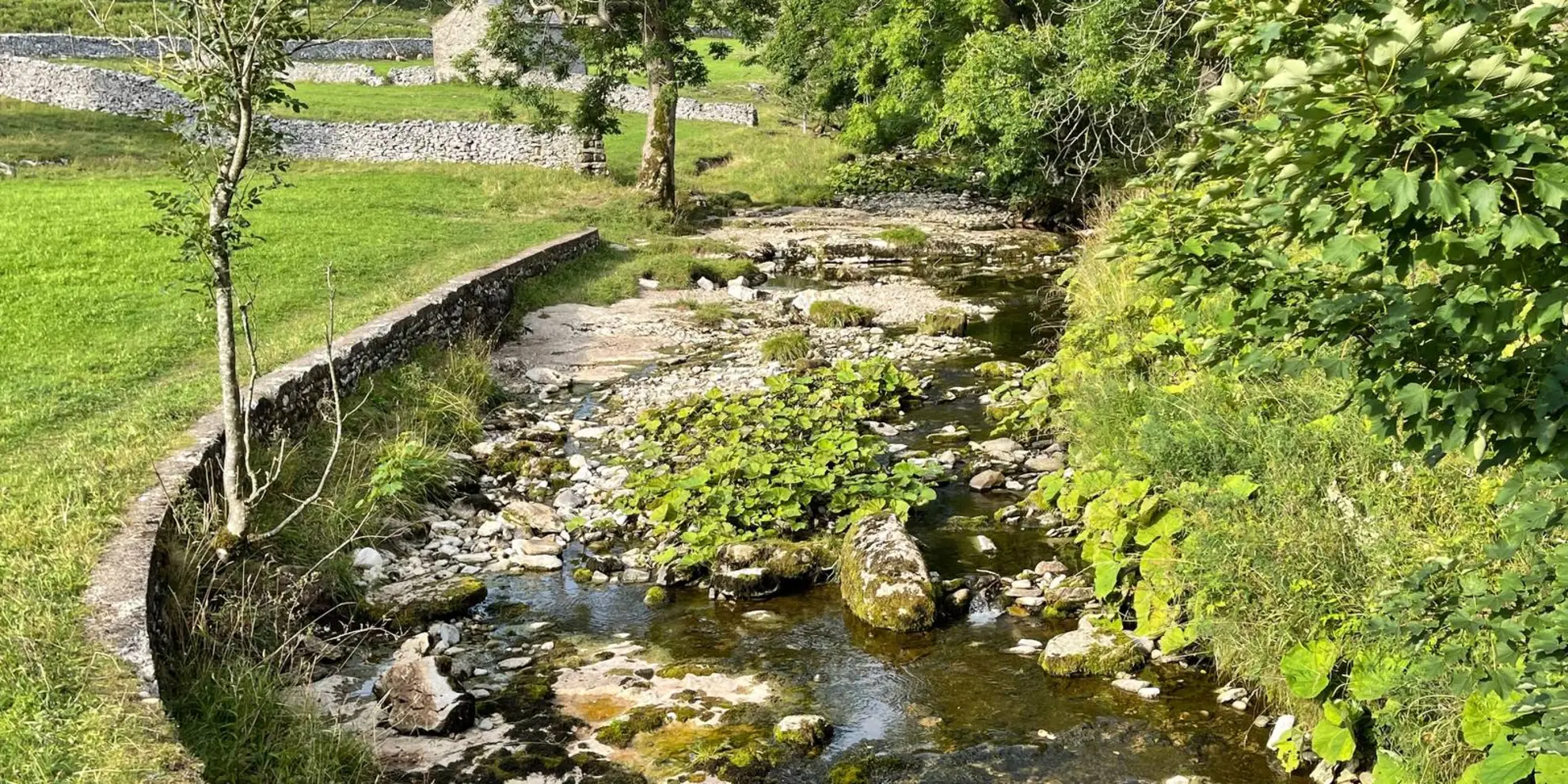 An image depicting the trail Buckden Pike and Hubberholme and its surrounding area.