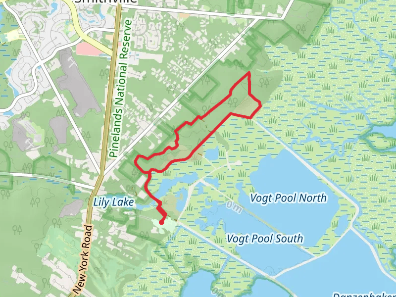 Wildlife Drive and Bristow Loop Trail
