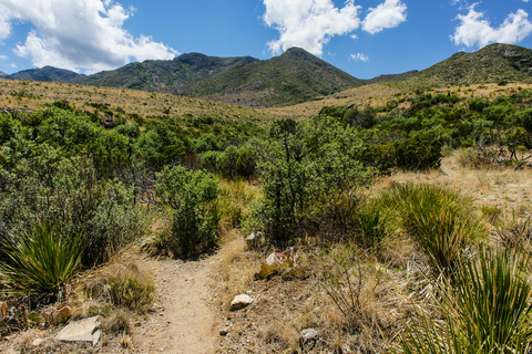 Pine Springs to McKittrick Canyon