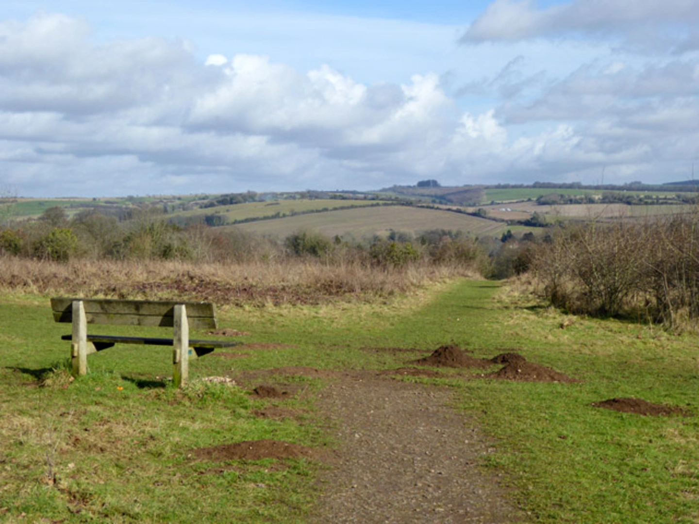 An image depicting the trail Shawford Down Loop and its surrounding area.