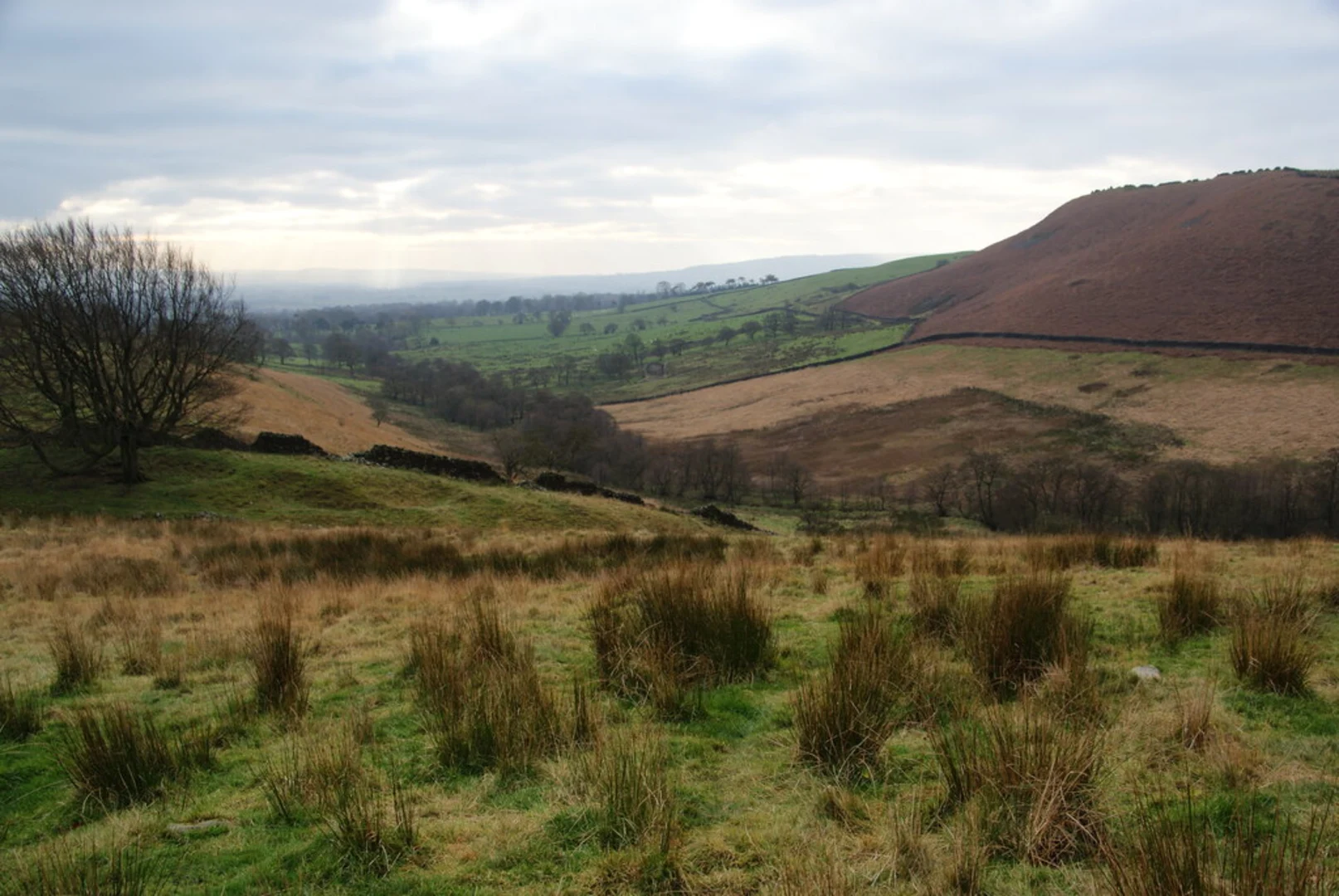 An image depicting the trail Grindleton Loop Walk and its surrounding area.