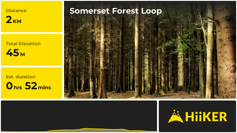Somerset Forest Loop | County Londonderry | Northern Ireland