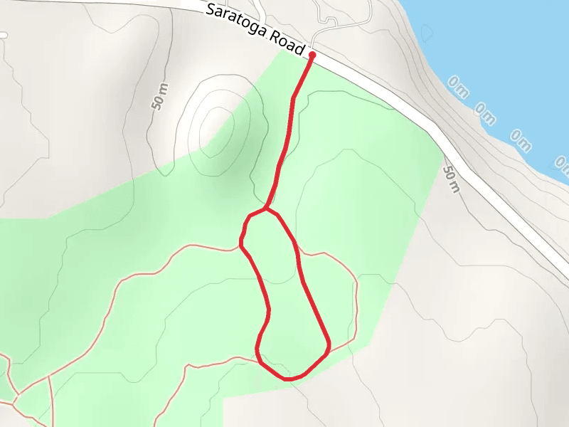 Salal Loop