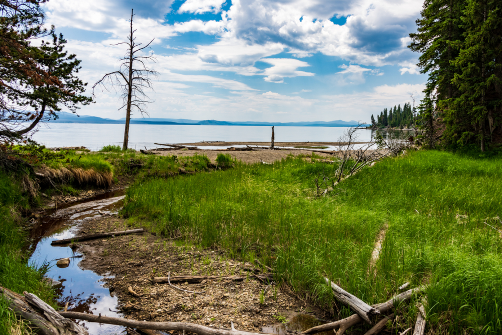 An image depicting the trail Storm Point Trail and its surrounding area.