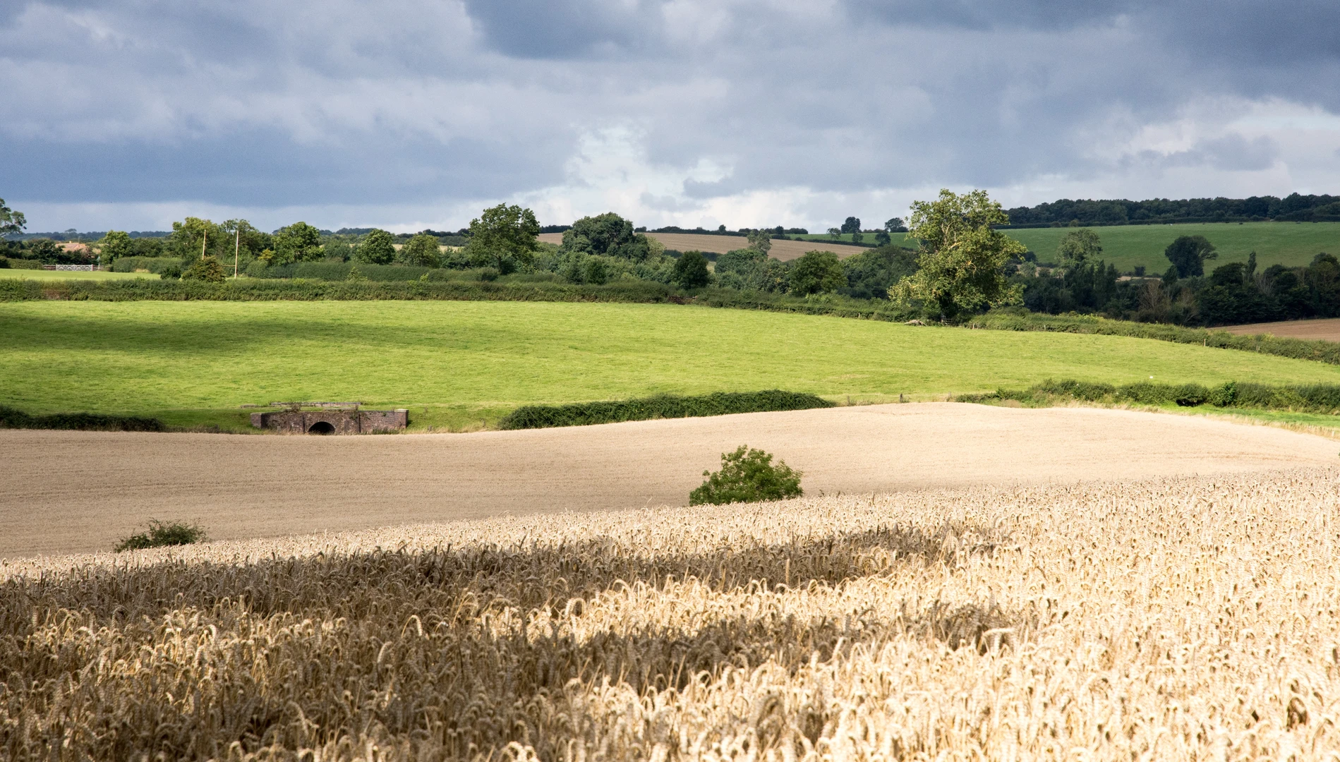 An image depicting the trail Hallaton Spinneys Loop and its surrounding area.