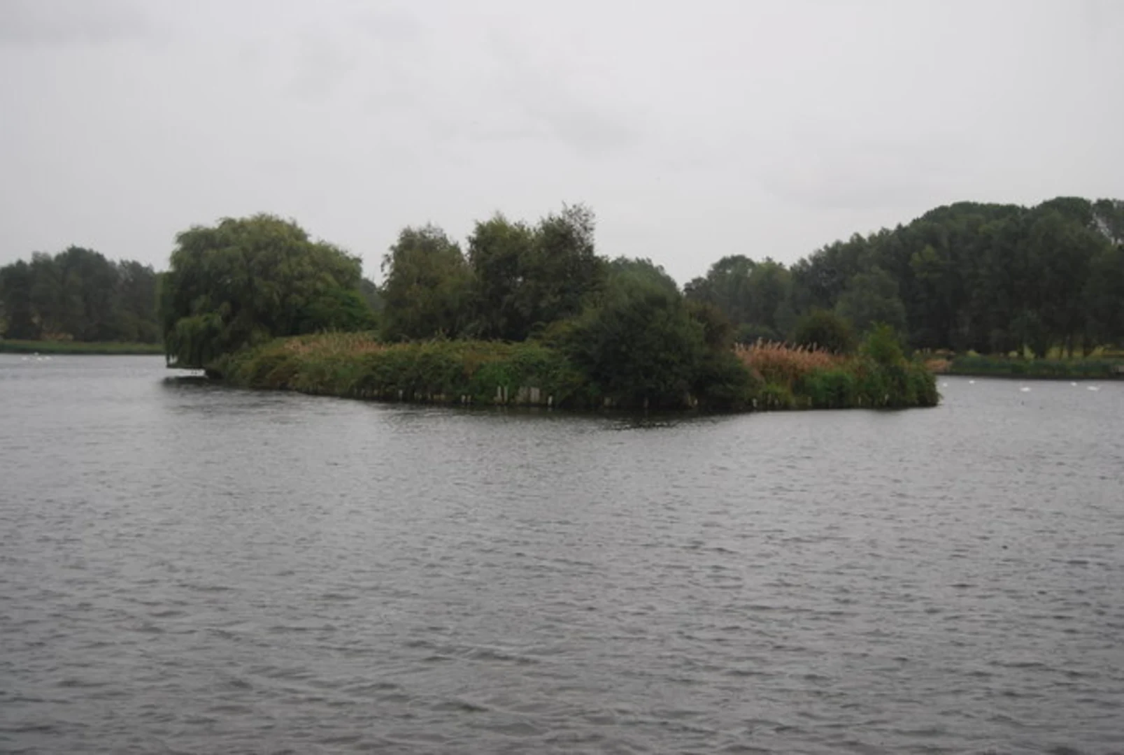 An image depicting the trail Trimley Marshes Loop and its surrounding area.