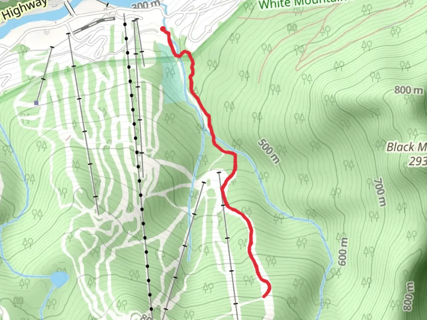 An image depicting the trail Boyle Brook from Loon Brook Road and its surrounding area.