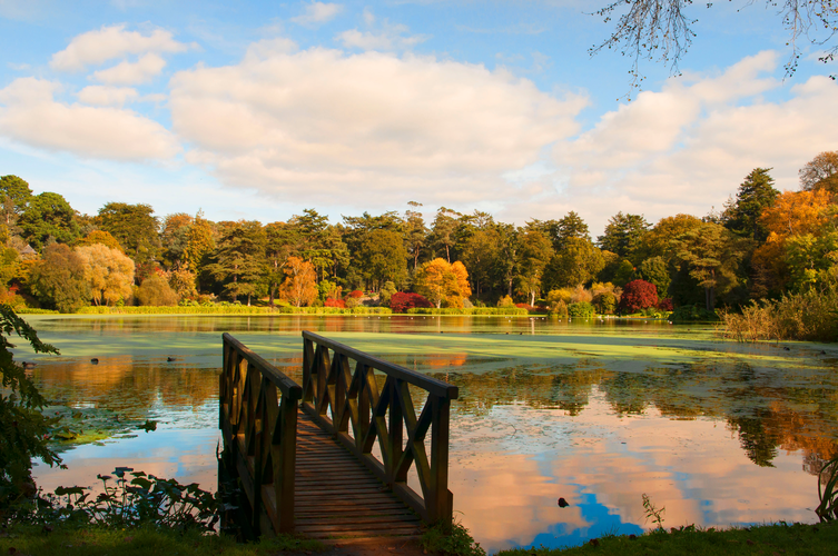 Mount Stewart – Yellow Trail
