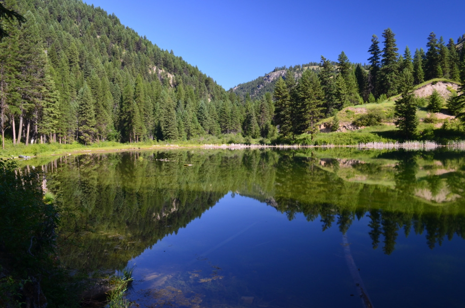An image depicting the trail Beth Lake Trail and its surrounding area.