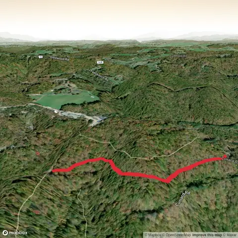 East Frog Hopper Trail