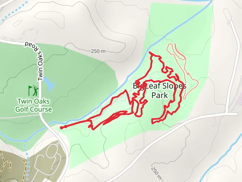 Blue Loop Trail