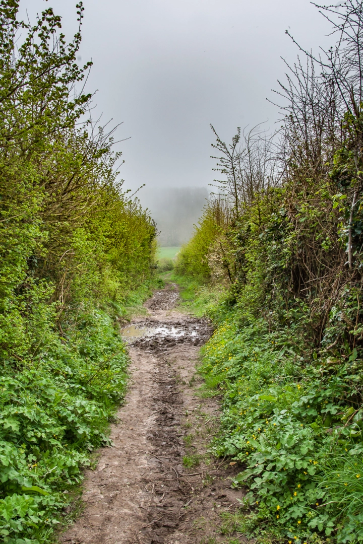 An image depicting the trail Freshwater Circular Walk and its surrounding area.