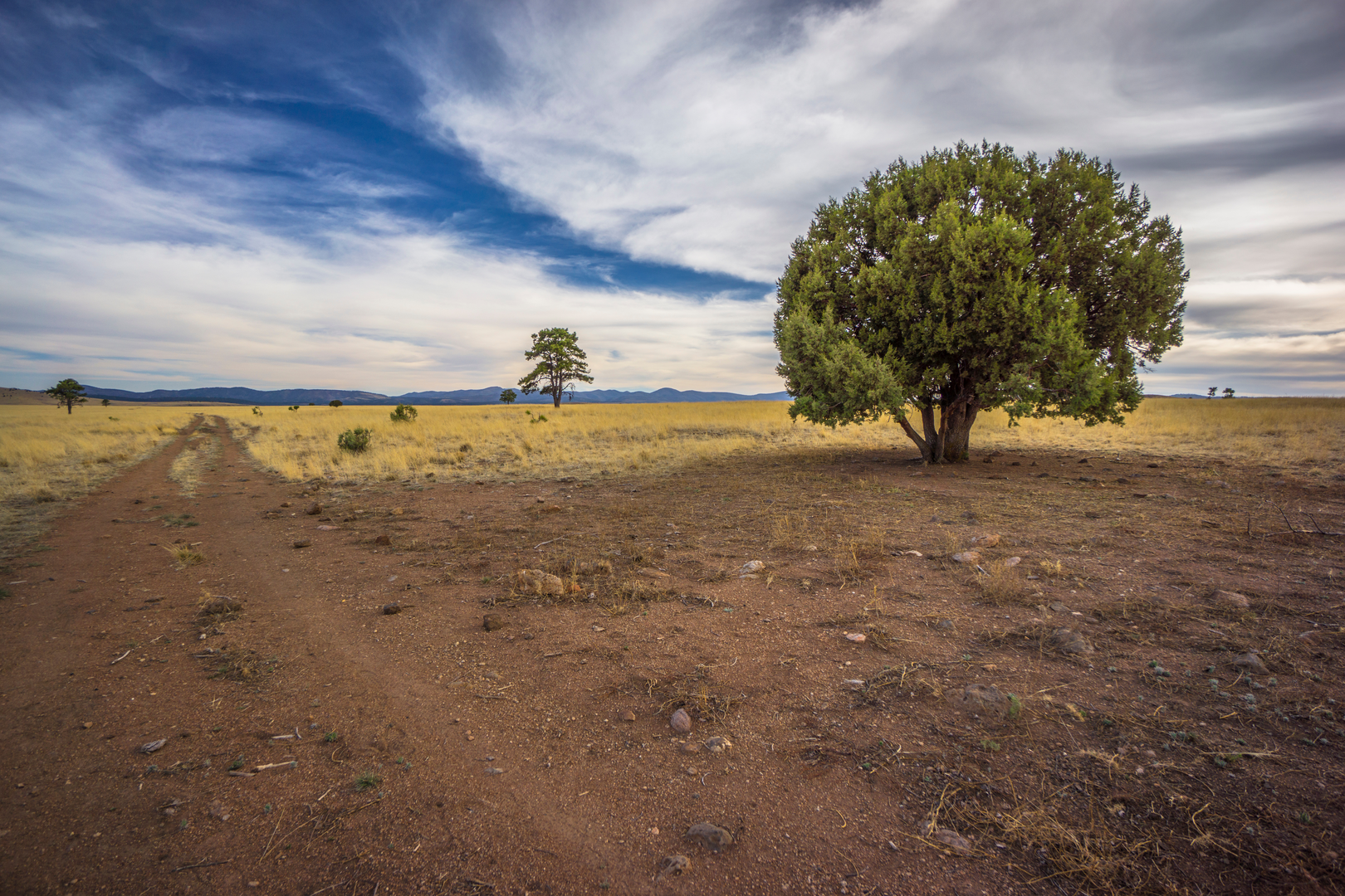An image depicting the trail Continental Divide Trail - New Mexico and its surrounding area.
