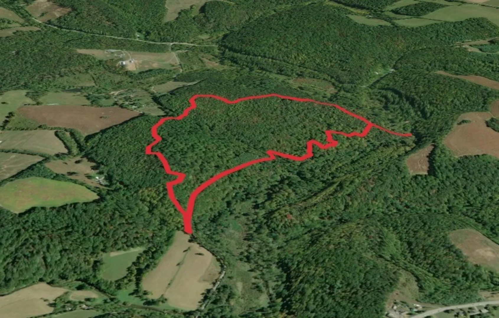 An image depicting the trail Hiking Trail and Switchback Trail Loop and its surrounding area.