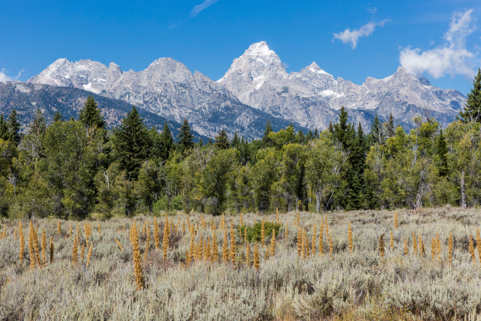 An image depicting the trail Jenny Lake Trail and its surrounding area.