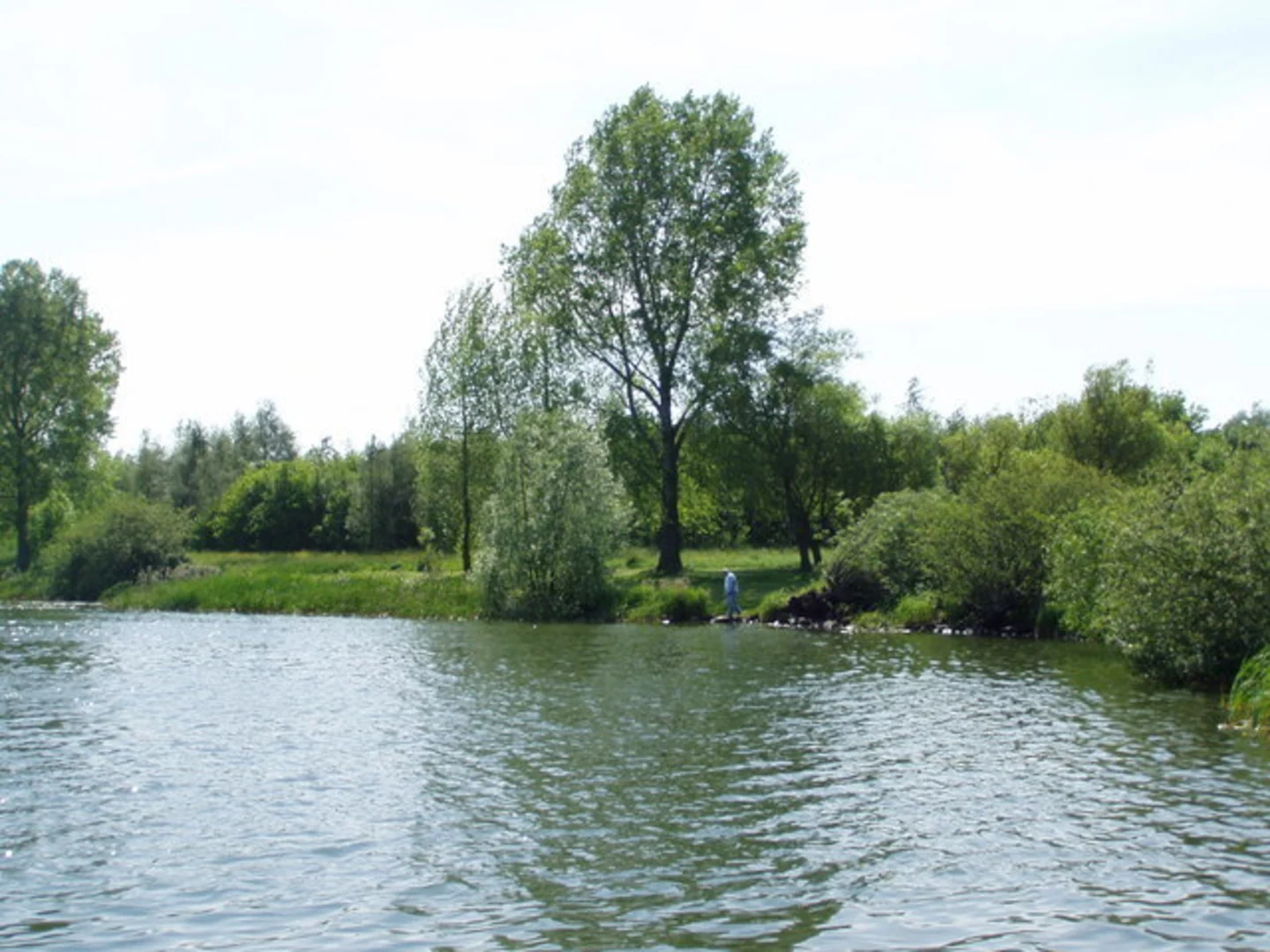 An image depicting the trail Craigavon Lakes Loop and its surrounding area.