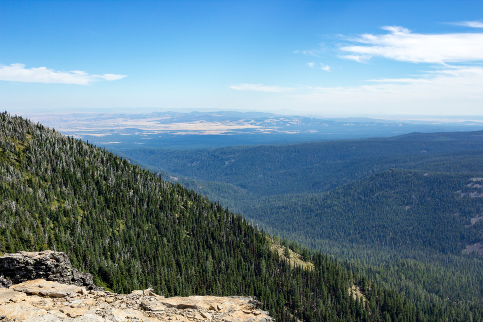 An image depicting the trail Badger Creek Cutoff Trail and its surrounding area.