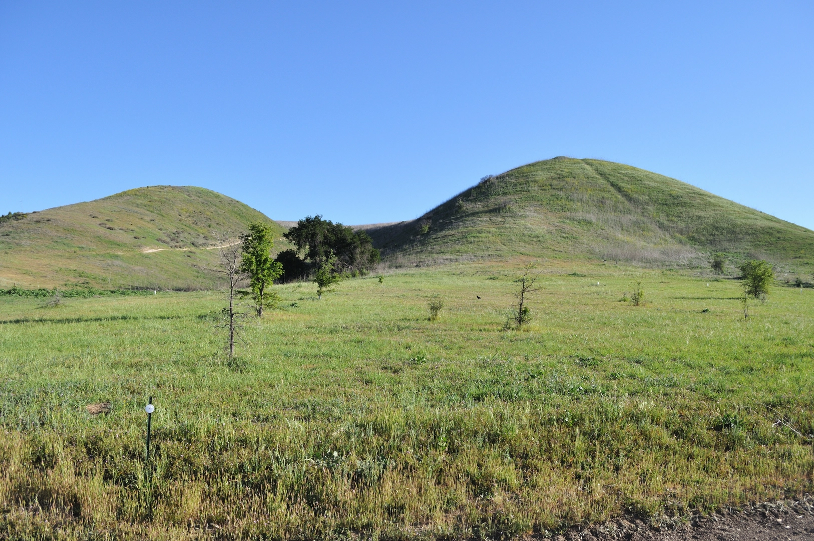 An image depicting the trail Cheeseboro Ridge and Upper Las Virgenes Canyon Loop Trail and its surrounding area.
